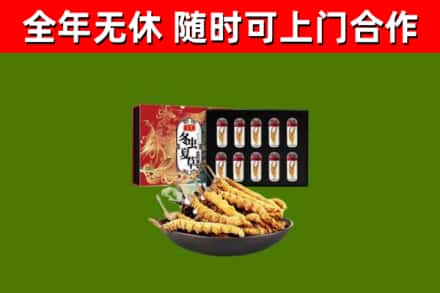 澄迈烟酒回收冬虫夏草礼盒.jpg